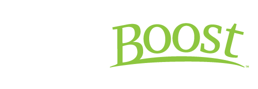 shadboost white and green logo - boost your business