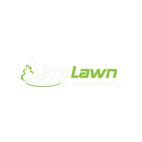 prolawn-1 ‣ ShadBoost prolawn-1